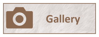 photo gallery